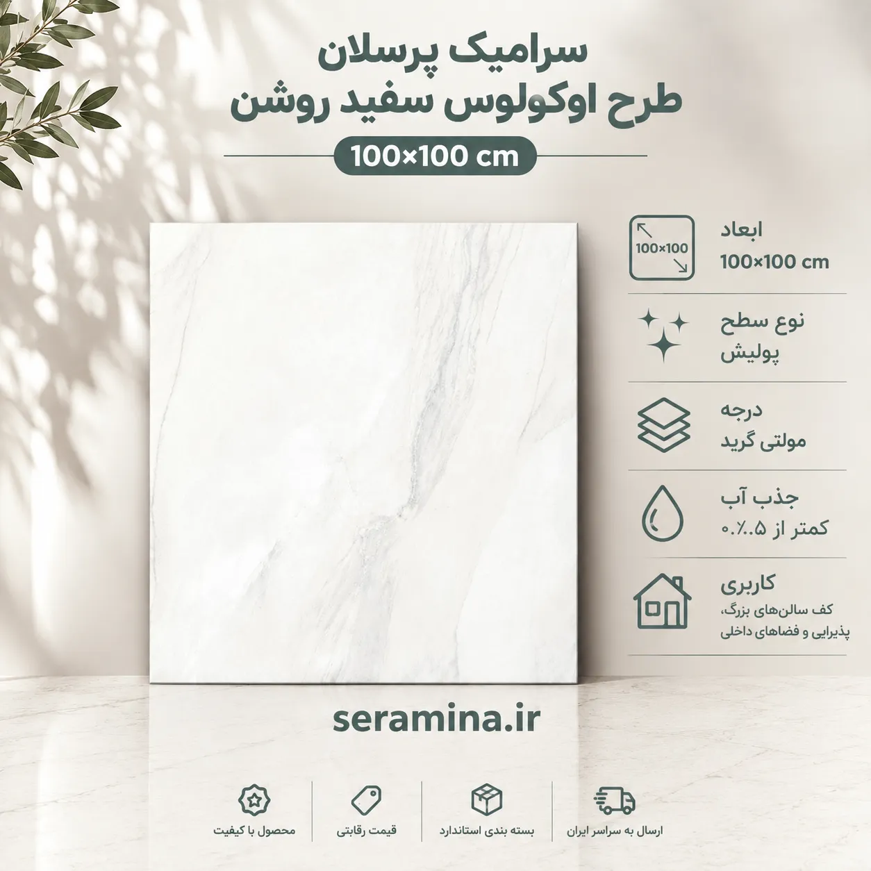 اوکولوس سفید روشن 100×100