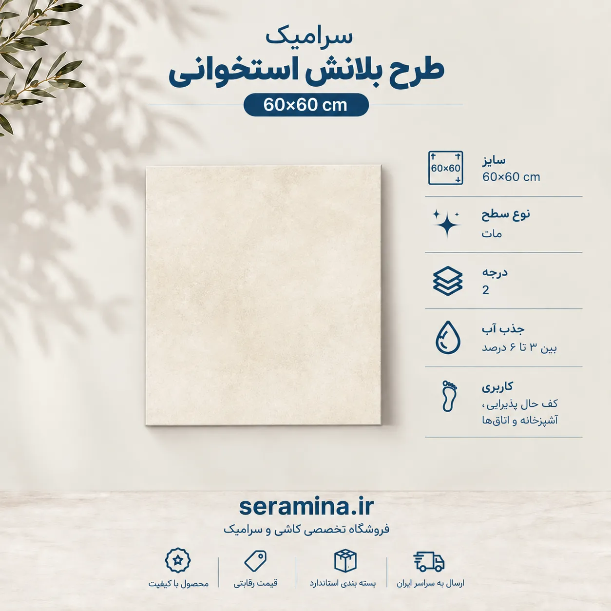 بلانش استخوانی 60×60 (درجه ۲)
