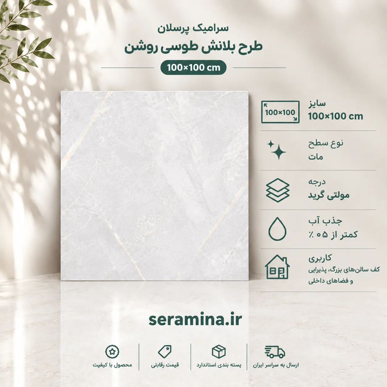 بلانش طوسی روشن 100×100