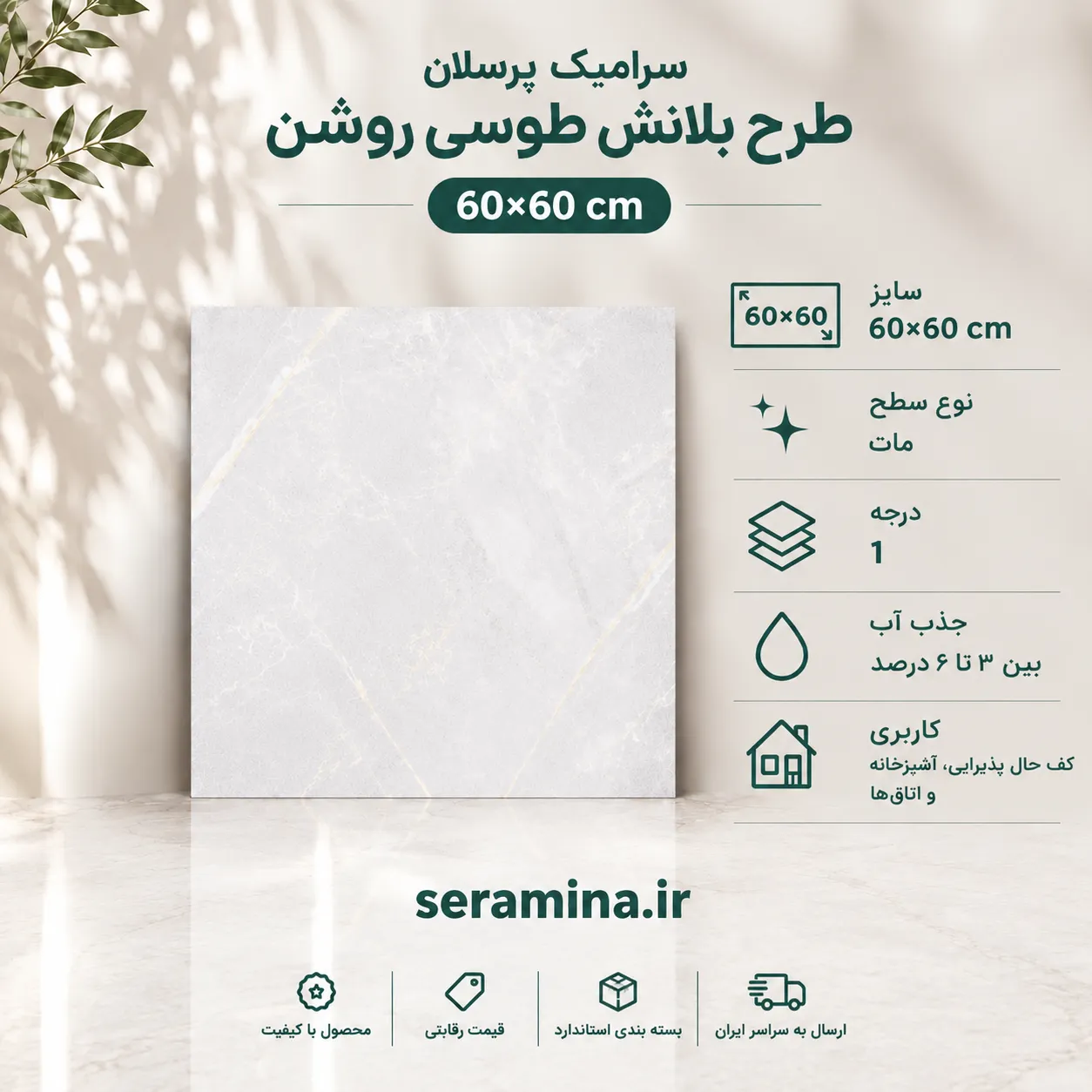 بلانش طوسی روشن 60×60