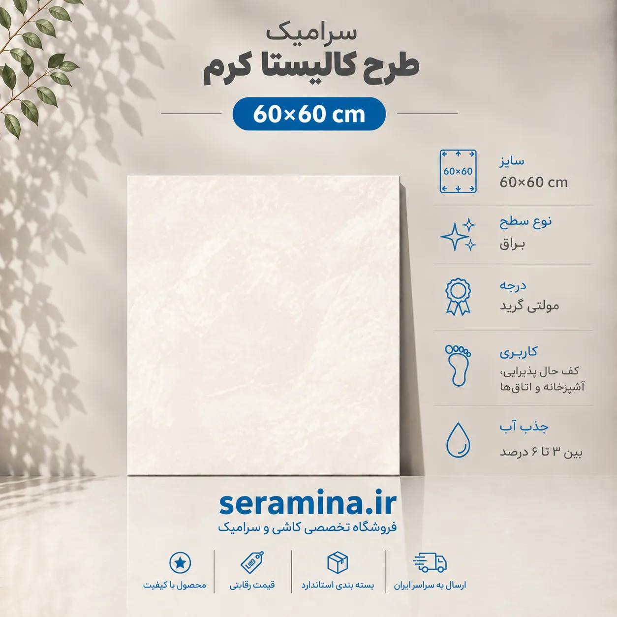 کالیستا کرم 60×60