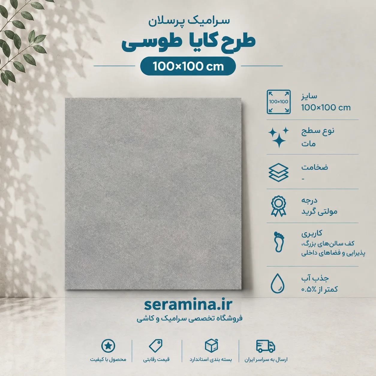 کایا طوسی 100×100