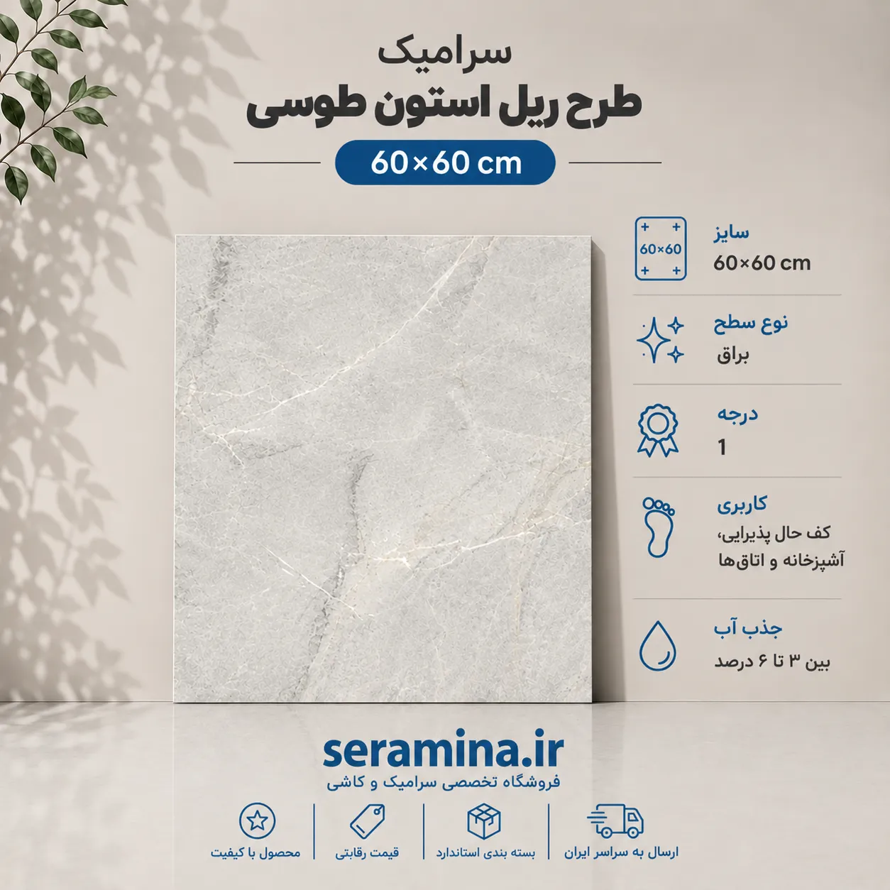 ریل استون طوسی روشن 60×60
