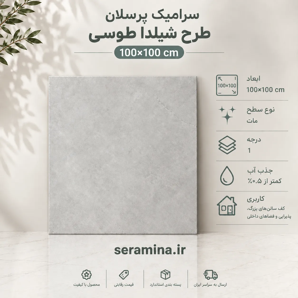 شیلدا طوسی روشن 100×100