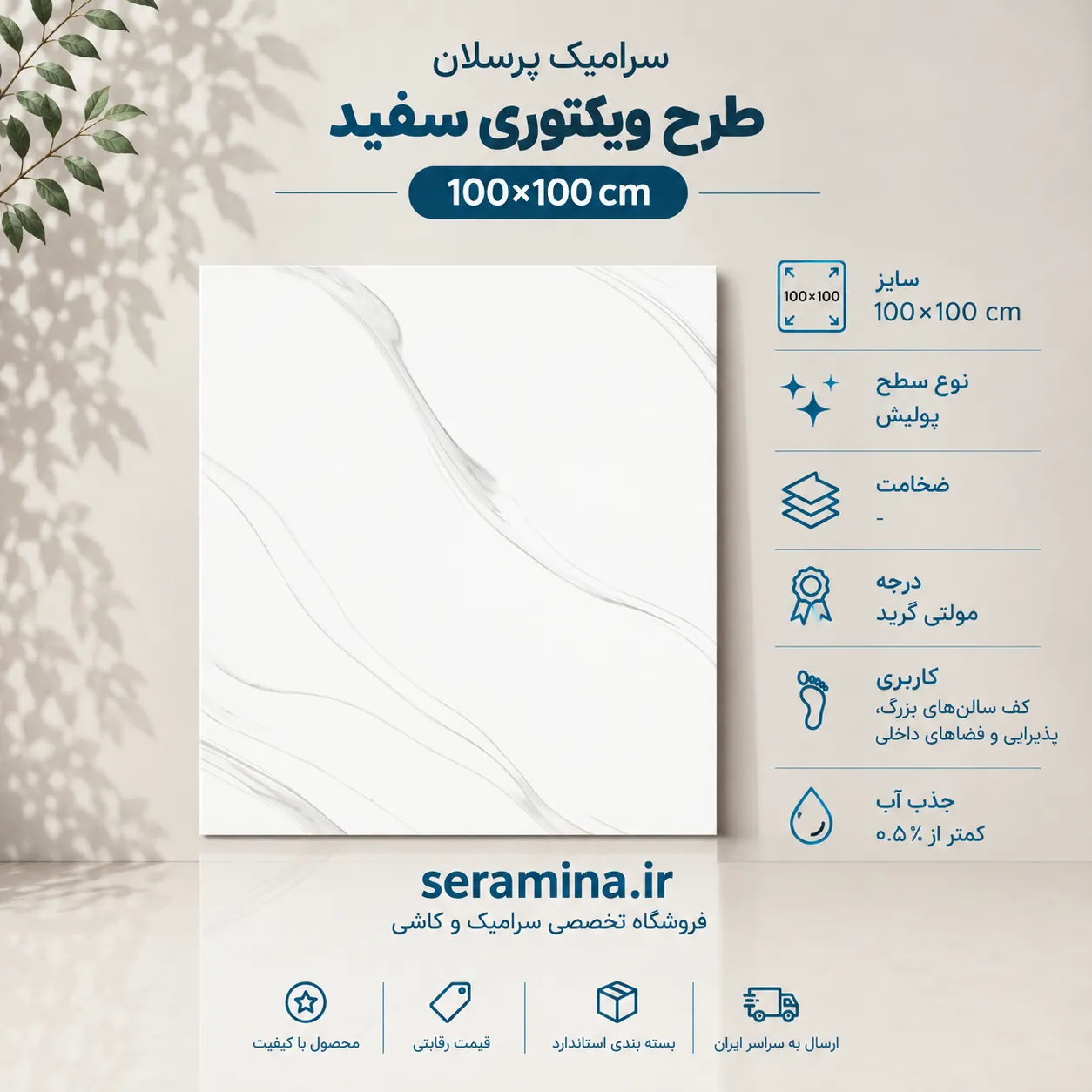 ویکتوری سفید 100×100